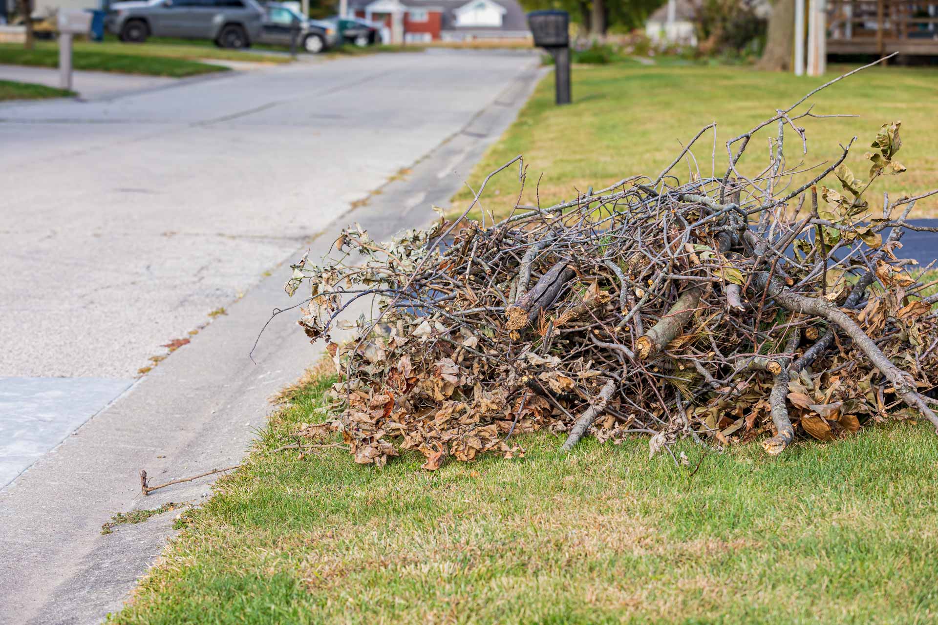 Pile of sticks and branches on curb